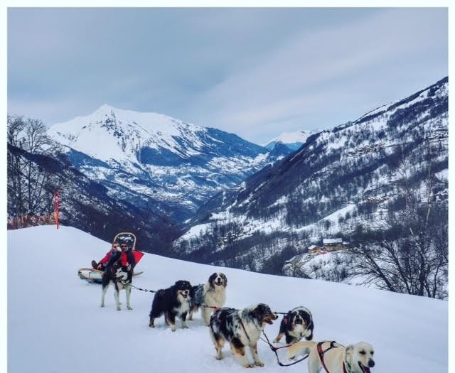 balade en traineau à chiens les ménuires